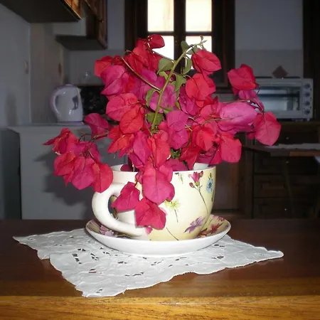 Patmos Garden Sea Daire