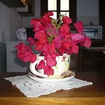 Patmos Garden Sea Apartamento
