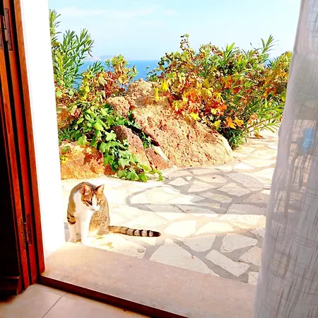 Patmos Garden Sea * Grikos Bay (Patmos)