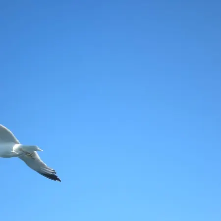 Patmos Garden Sea Apartamento