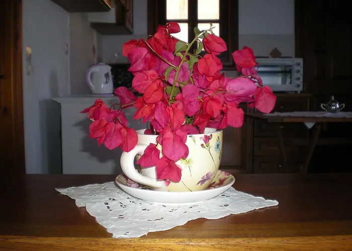 Patmos Garden Sea Apartment