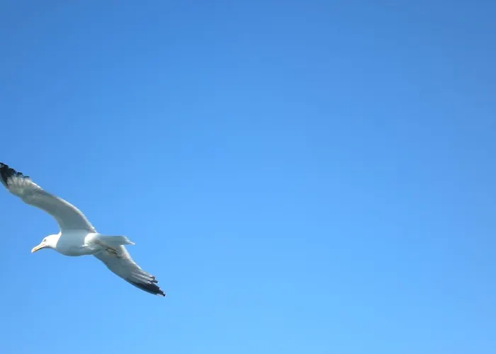 Patmos Garden Sea شقة